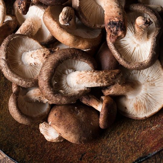 shiitake-beta-mushroomsaaa shiitake-beta-mushroomsaaa